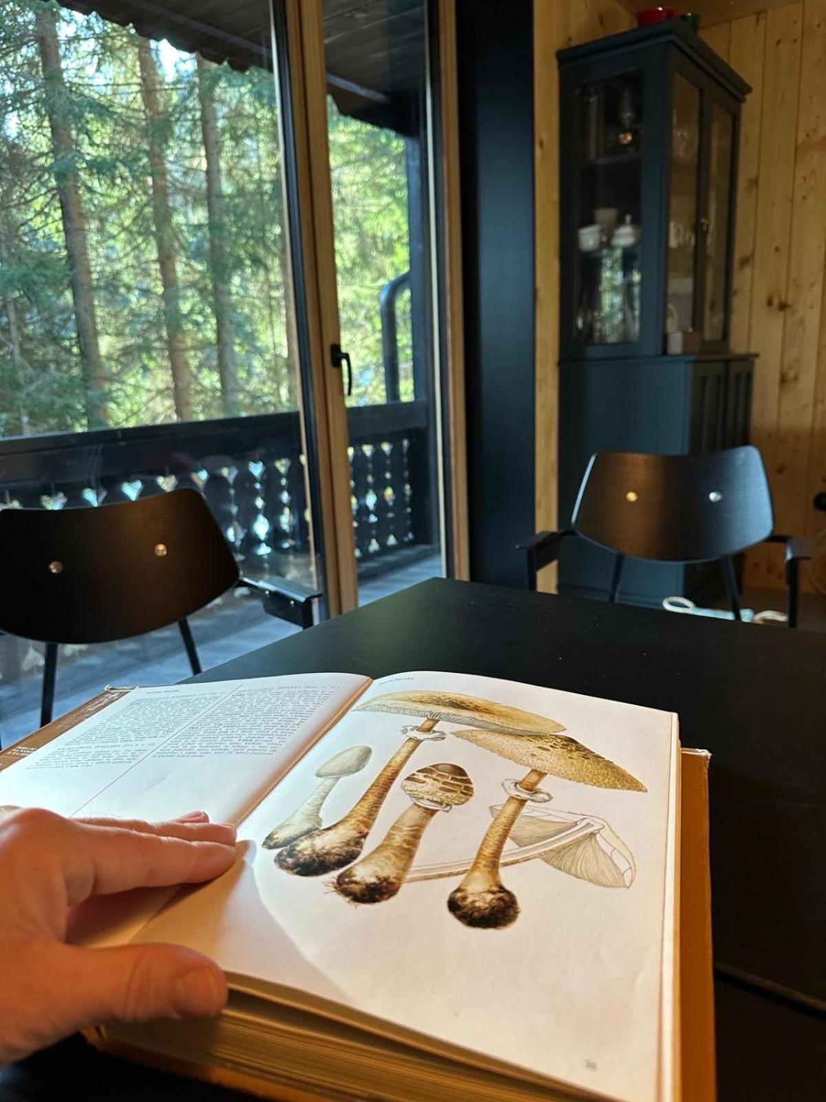 Cosy Lodge Pokljuka Goreljek Exterior foto